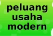peluang usaha modern