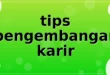tips pengembangan karir
